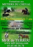 Secteur professionnel : Métiers du Cheval
